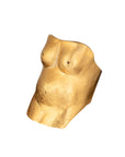 Anillo Venus